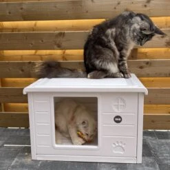 RHRQuality Kattenhuis Voor Binnen En Buiten Kattenhok Villa De Luxe Wit 60cm -Kattenbenodigdheden Winkel 1200x1200 443