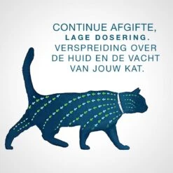 Seresto Teken- En Vlooienband - Anti Tekenmiddel - Kat - 38 Cm -Kattenbenodigdheden Winkel 1200x1200 45