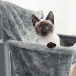 Navaris Hangmat Radiator Voor Katten - Kattenmand Voor Aan De Verwarming - Inclusief Uitneembaar Kussen - Tot 6 Kg 9 Navaris Hangmat Radiator Voor Katten - Kattenmand Voor Aan De Verwarming - Inclusief Uitneembaar Kussen - Tot 6 Kg -Kattenbenodigdheden Winkel 1200x1200 452