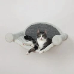 TRIXIE Kattenhangmat 54x28x33 Cm Crèmekleurig En Grijs 49920 -Kattenbenodigdheden Winkel 1200x1200 466