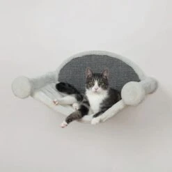 TRIXIE Kattenhangmat 54x28x33 Cm Crèmekleurig En Grijs 49920 -Kattenbenodigdheden Winkel 1200x1200 469