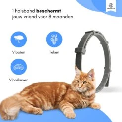 Essential Link Teken- En Vlooienband - Vlooienband Kat – Anti Vlooien – Vlooienmiddel - Tekenband - Diervriendelijk -Kattenbenodigdheden Winkel 1200x1200 48