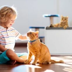 Relaxdays Kattenbak Ombouw - Met Zitkussen - Kattenhuis Wit - Kattenmeubel - Kattenkast -Kattenbenodigdheden Winkel 1200x1200 483