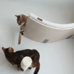 COSY AND DOZY Cat Shelf Deluxe WIT – Hangmat Kat – Maple Hout - 90 X 41 Cm - Kattenplank - Katten Muur -Kattenbenodigdheden Winkel 1200x1200 489