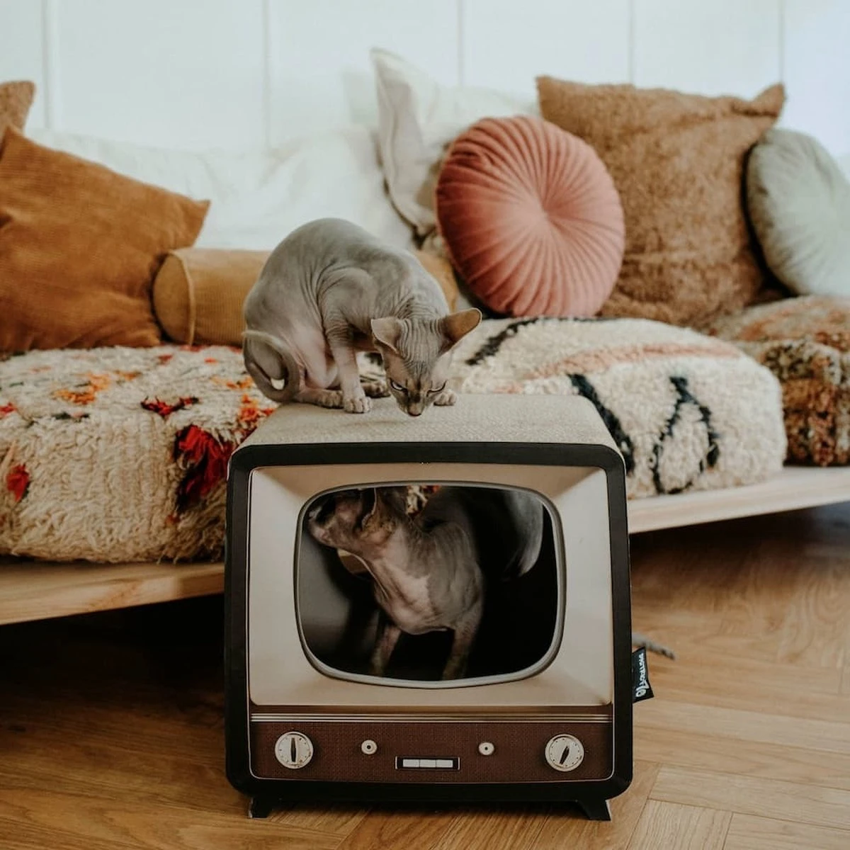 District 70 TELLY - Retro TV Krabmeubel - Instagrammable Kartonnen TV Voor Katten - 39 X 27 X 37 Cm 2 District 70 TELLY - Retro TV Krabmeubel - Instagrammable Kartonnen TV Voor Katten - 39 X 27 X 37 Cm - Afbeelding 2
