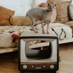 District 70 TELLY - Retro TV Krabmeubel - Instagrammable Kartonnen TV Voor Katten - 39 X 27 X 37 Cm 15 District 70 TELLY - Retro TV Krabmeubel - Instagrammable Kartonnen TV Voor Katten - 39 X 27 X 37 Cm -Kattenbenodigdheden Winkel 1200x1200 493