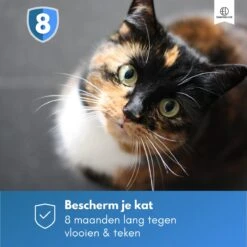 Essential Link Teken- En Vlooienband - Vlooienband Kat – Anti Vlooien – Vlooienmiddel - Tekenband - Diervriendelijk -Kattenbenodigdheden Winkel 1200x1200 50