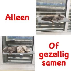 Merkloos Kattenhangmat - Kattenbed - Hangmat Kat Raam Ook Voor Radiator En Deur - Kattenmand Raam En Radiator - Katten Hangmat - Radiatorhangmat Kat Kattenstoel - Tijdelijk Met Extra Hangmat Hoes -Kattenbenodigdheden Winkel 1200x1200 594