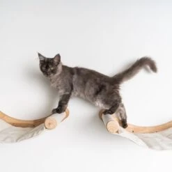 RHRQuality Wandmeubel Wandmontage Klimmuur Kat 53 X 43cm Luxe Hangmat XXL Creme Klim Wand Muur Krabpaal Katten Muurbevestiging -Kattenbenodigdheden Winkel 1200x1200 598