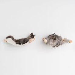 RHRQuality Wandmeubel Wandmontage Klimmuur Kat 53 X 43cm Luxe Hangmat XXL Creme Klim Wand Muur Krabpaal Katten Muurbevestiging -Kattenbenodigdheden Winkel 1200x1200 599