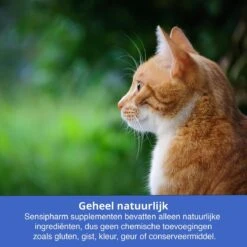 Sensipharm Omniderma Voor Kat, Hondje, Cavia, Konijn - Voedingssupplement Voor Huid En Vacht, Bij Jeuk, Eczeem & Hotspot - 90 Tabletten à 250 Mg -Kattenbenodigdheden Winkel 1200x1200 6