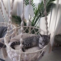 Bonbox Shop - Macrame Hangmat Voor Katten En Kittens - Kattenhammock - Hangmand -Kattenbenodigdheden Winkel 1200x1200 608