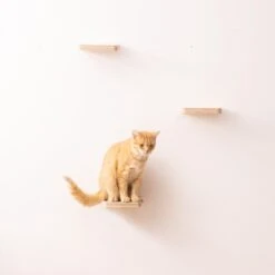 Navaris Katten Klimmuur 3 Tredes - 18 X 18 X 1,5 Cm Per Plankje - Katten Klimwand Van Hout - Inclusief Bevestigingsmateriaal -Kattenbenodigdheden Winkel 1200x1200 616