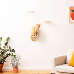 Navaris Katten Klimmuur 3 Tredes - 18 X 18 X 1,5 Cm Per Plankje - Katten Klimwand Van Hout - Inclusief Bevestigingsmateriaal -Kattenbenodigdheden Winkel 1200x1200 617