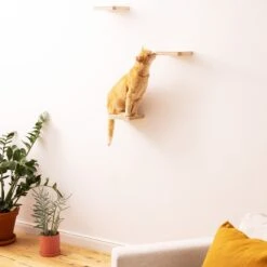 Navaris Katten Klimmuur 3 Tredes - 18 X 18 X 1,5 Cm Per Plankje - Katten Klimwand Van Hout - Inclusief Bevestigingsmateriaal -Kattenbenodigdheden Winkel 1200x1200 618