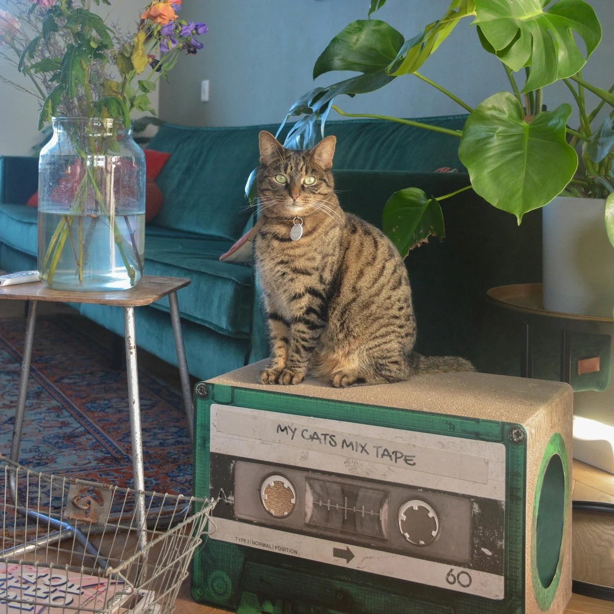 District 70 MIXTAPE - Trendy Retro Krabmeubel Van Duurzaam Karton - Omkeerbaar In Zwart - 54x35x31cm - Zwart 7 District 70 MIXTAPE - Trendy Retro Krabmeubel Van Duurzaam Karton - Omkeerbaar In Zwart - 54x35x31cm - Zwart - Afbeelding 7