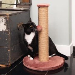 Designed By Lotte Yenna - Krabpaal - Roze - 35x35x50 Cm -Kattenbenodigdheden Winkel 1200x1200 630