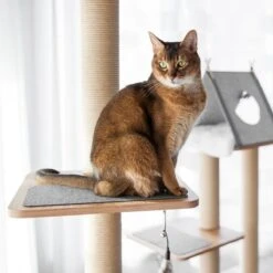 BeOneBreed Katt3 EVO Tower - Krabpaal Voor Katten Van Vloer Tot Plafond – Inclusief 3 Vilten Matjes En Hangspeeltje - Gelamineerd Hout - Maximale Hoogte 254 Cm 15 BeOneBreed Katt3 EVO Tower - Krabpaal Voor Katten Van Vloer Tot Plafond – Inclusief 3 Vilten Matjes En Hangspeeltje - Gelamineerd Hout - Maximale Hoogte 254 Cm -Kattenbenodigdheden Winkel 1200x1200 653