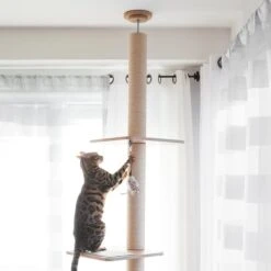 BeOneBreed Katt3 EVO Tower - Krabpaal Voor Katten Van Vloer Tot Plafond – Inclusief 3 Vilten Matjes En Hangspeeltje - Gelamineerd Hout - Maximale Hoogte 254 Cm 16 BeOneBreed Katt3 EVO Tower - Krabpaal Voor Katten Van Vloer Tot Plafond – Inclusief 3 Vilten Matjes En Hangspeeltje - Gelamineerd Hout - Maximale Hoogte 254 Cm -Kattenbenodigdheden Winkel 1200x1200 654