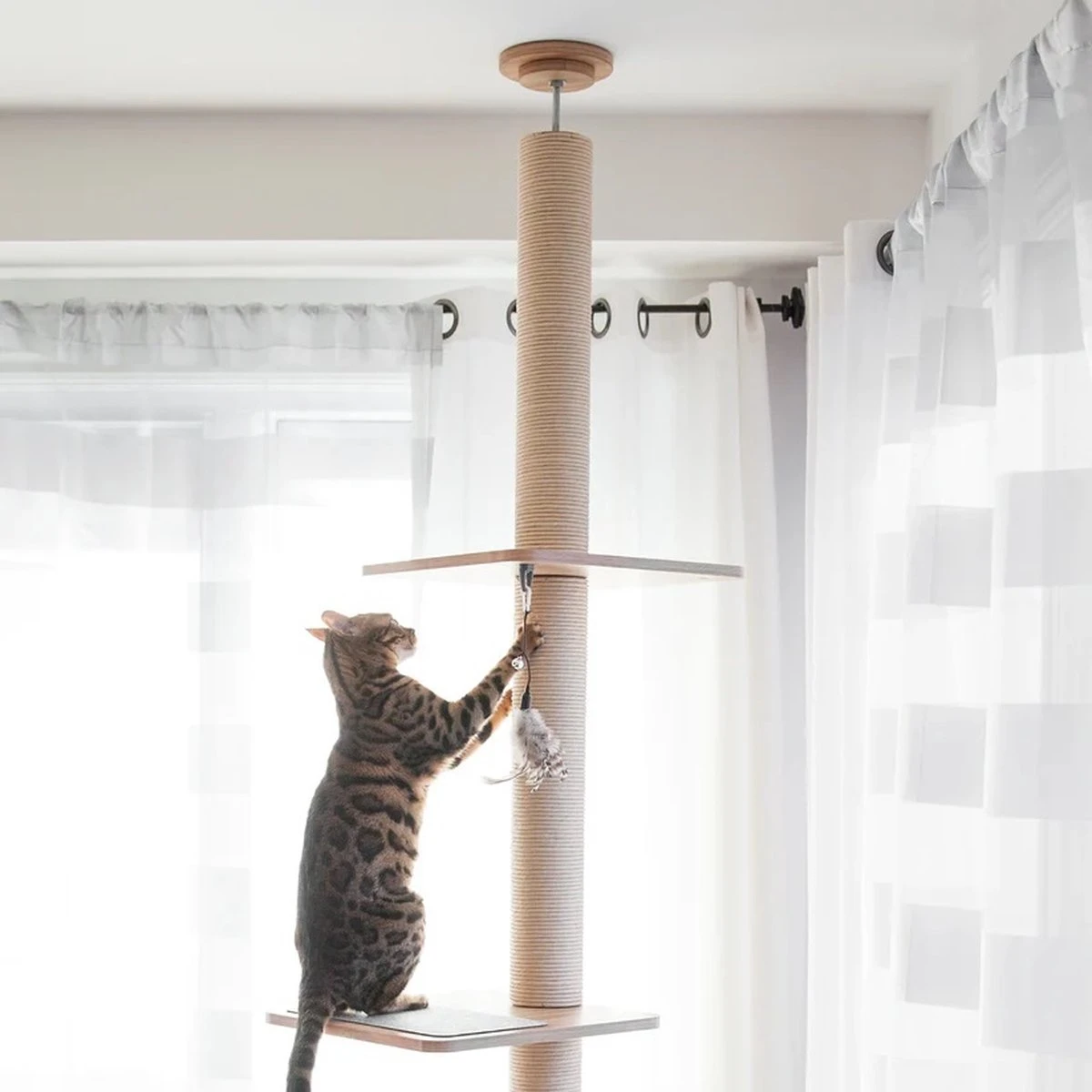 BeOneBreed Katt3 EVO Tower - Krabpaal Voor Katten Van Vloer Tot Plafond – Inclusief 3 Vilten Matjes En Hangspeeltje - Gelamineerd Hout - Maximale Hoogte 254 Cm 8 BeOneBreed Katt3 EVO Tower - Krabpaal Voor Katten Van Vloer Tot Plafond – Inclusief 3 Vilten Matjes En Hangspeeltje - Gelamineerd Hout - Maximale Hoogte 254 Cm - Afbeelding 8