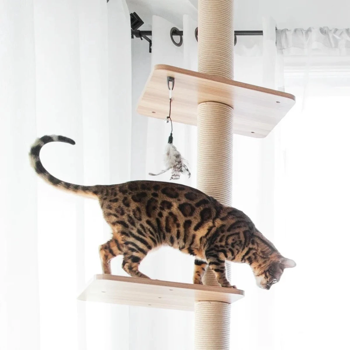 BeOneBreed Katt3 EVO Tower - Krabpaal Voor Katten Van Vloer Tot Plafond – Inclusief 3 Vilten Matjes En Hangspeeltje - Gelamineerd Hout - Maximale Hoogte 254 Cm 9 BeOneBreed Katt3 EVO Tower - Krabpaal Voor Katten Van Vloer Tot Plafond – Inclusief 3 Vilten Matjes En Hangspeeltje - Gelamineerd Hout - Maximale Hoogte 254 Cm - Afbeelding 9