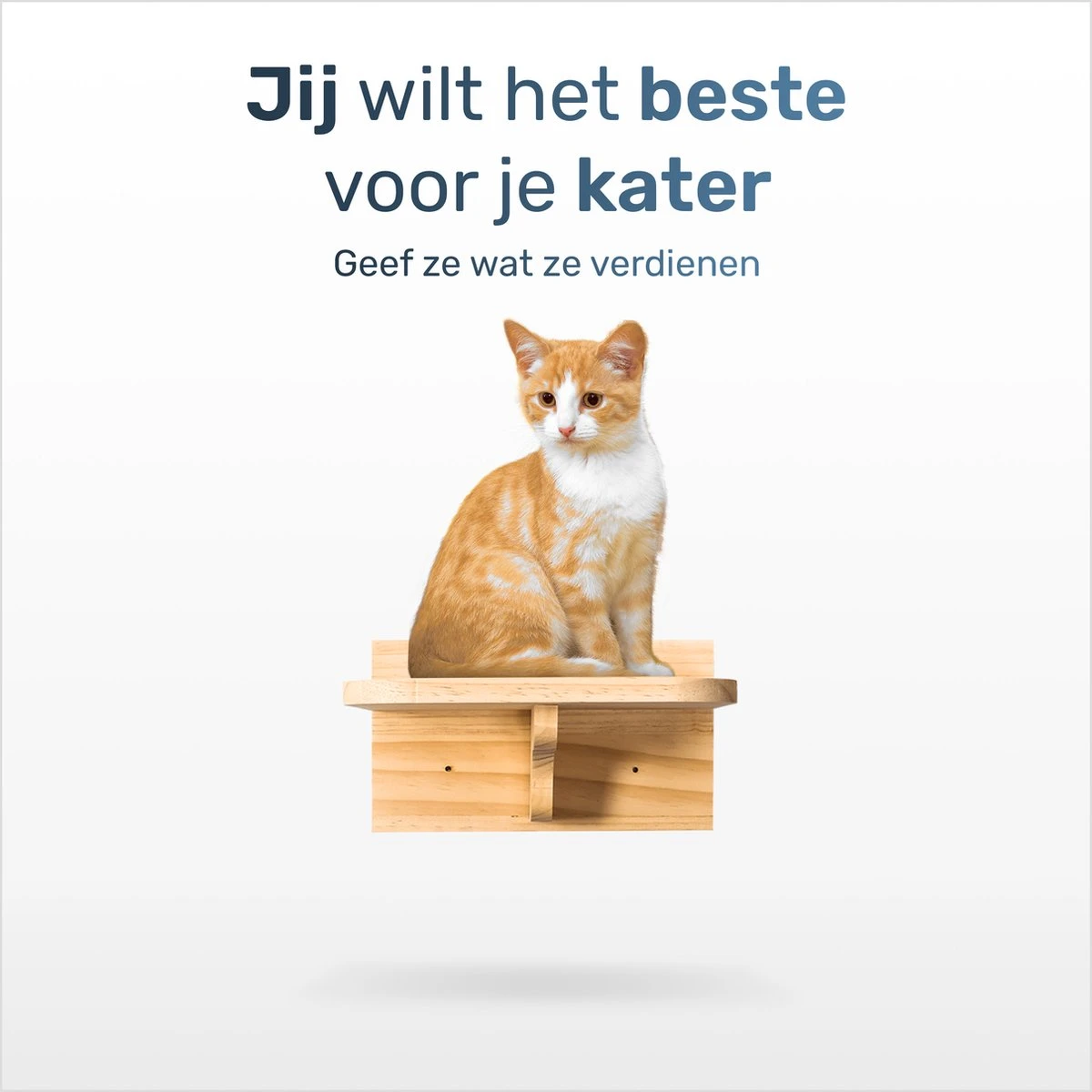 Katten Klimmuur - Complete Set - Krabpaal - Huisje - Ladders - Plateaus - Katten Klim Wand - Krabpaal Muur - Klimmuur Kat - Krabpaal Voor Grote Katten - Klimwand 4 Katten Klimmuur - Complete Set - Krabpaal - Huisje - Ladders - Plateaus - Katten Klim Wand - Krabpaal Muur - Klimmuur Kat - Krabpaal Voor Grote Katten - Klimwand - Afbeelding 4