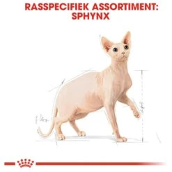 Royal Canin Sphynx Adult - Kattenvoer - 10 Kg -Kattenbenodigdheden Winkel 1200x1200 69