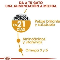 Royal Canin Hair & Skin Care - Kattenvoer - 2 Kg -Kattenbenodigdheden Winkel 1200x1200 70