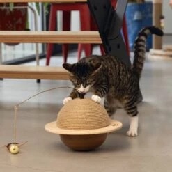 Designed By Lotte Kattenkrabbol Wiggly 29.5x20 Cm Hout 10 Designed By Lotte Kattenkrabbol Wiggly 29.5x20 Cm Hout -Kattenbenodigdheden Winkel 1200x1200 712