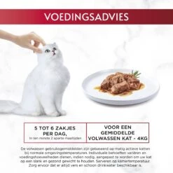 Gourmet Mon Petit Intense - Kattenvoer Natvoer - Vis - 24 X 50 Gr 15 Gourmet Mon Petit Intense - Kattenvoer Natvoer - Vis - 24 X 50 Gr -Kattenbenodigdheden Winkel 1200x1200 73