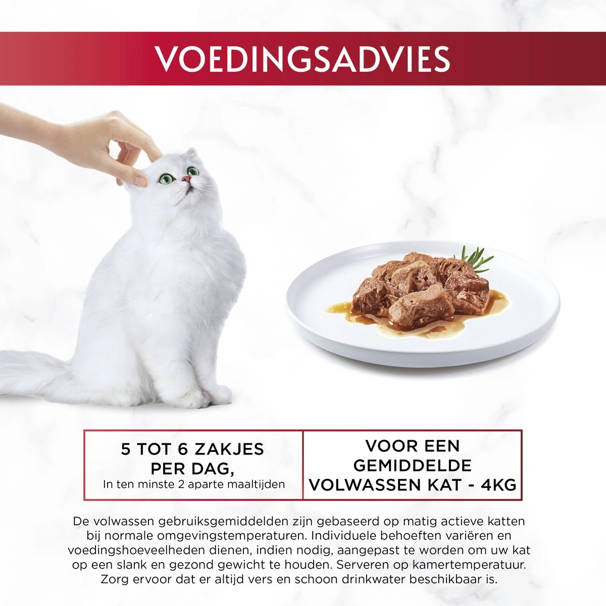 Gourmet Mon Petit Intense - Kattenvoer Natvoer - Vis - 24 X 50 Gr 6 Gourmet Mon Petit Intense - Kattenvoer Natvoer - Vis - 24 X 50 Gr - Afbeelding 6