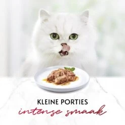 Gourmet Mon Petit Intense - Kattenvoer Natvoer - Vis - 24 X 50 Gr 17 Gourmet Mon Petit Intense - Kattenvoer Natvoer - Vis - 24 X 50 Gr -Kattenbenodigdheden Winkel 1200x1200 75