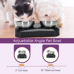 Nobleza Katten Voerbakjes - Ergonomische Dubbele Voerbak - Anti Braak Voerbak Voor Katten - Zwart - Dubbel - RVS -Kattenbenodigdheden Winkel 1200x1200 786