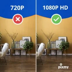 PIXMY - Automatische Voerbak Kat - 4L - Wi-Fi - Met App En Full HD Camera - Voerbak Kat 21 PIXMY - Automatische Voerbak Kat - 4L - Wi-Fi - Met App En Full HD Camera - Voerbak Kat -Kattenbenodigdheden Winkel 1200x1200 794