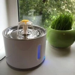 Merkloos Drinkfontein Voor Hond En Kat - RVS Waterbak - Dieren Drinkbak - Vers Water Fontein - Drinkfontein Katten- 3 Standen - 2.4 Liter - Incl. 1 Koolstoffilter -Kattenbenodigdheden Winkel 1200x1200 800