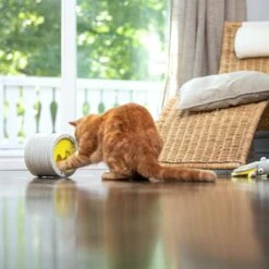 BeOneBreed Intellikatt - Slowfeeder Voor Katten - Voerpuzzel Aanbevolen Door Dierenartsen En Kattengedragsdeskundigen -Kattenbenodigdheden Winkel 1200x1200 806