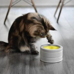 BeOneBreed Intellikatt - Slowfeeder Voor Katten - Voerpuzzel Aanbevolen Door Dierenartsen En Kattengedragsdeskundigen -Kattenbenodigdheden Winkel 1200x1200 807