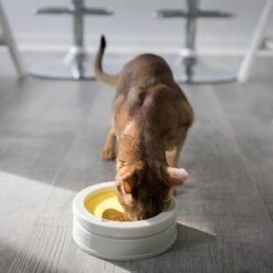 BeOneBreed Intellikatt - Slowfeeder Voor Katten - Voerpuzzel Aanbevolen Door Dierenartsen En Kattengedragsdeskundigen -Kattenbenodigdheden Winkel 1200x1200 810