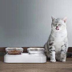 Behave Dubbele Voerbak - Drinkbak - Katten - Verstelbaar - Wit -Kattenbenodigdheden Winkel 1200x1200 821