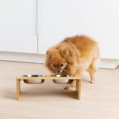 Navaris Verhoogd Dubbel Dieren Voedingsstation - 2 Kommen Voor Katten En Kleine Honden - Roestvrij Staal - Verhoogde Bamboe Standaard -Kattenbenodigdheden Winkel 1200x1200 825