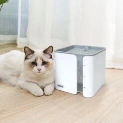 Nobleza USB Drinkfontein Voor Hond/Kat - 2L - Incl. 2 Filters - Wit -Kattenbenodigdheden Winkel 1200x1200 829