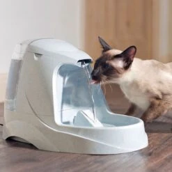 Petsafe Drinkwell Platinum - Drinkfontein - 5 L -Kattenbenodigdheden Winkel 1200x1200 832