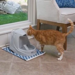 Petsafe Drinkwell Platinum - Drinkfontein - 5 L -Kattenbenodigdheden Winkel 1200x1200 833