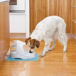 Petsafe Drinkwell Platinum - Drinkfontein - 5 L -Kattenbenodigdheden Winkel 1200x1200 834