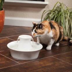 Petsafe Drinkwell Ceramic Avalon - Drinkfontein - 2 L -Kattenbenodigdheden Winkel 1200x1200 839