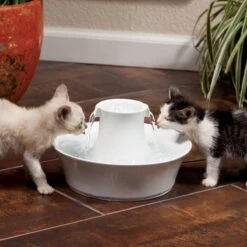 Petsafe Drinkwell Ceramic Avalon - Drinkfontein - 2 L -Kattenbenodigdheden Winkel 1200x1200 840
