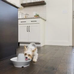 PetSafe® Streamside Ceramic Pet Fountain - Keramische Drinkfontein Voor Katten En Kleine Honden - Water Borrelt Zacht Over De Toren - Door Het Design Van Alle Kanten Bereikbaar - 1,8 Liter - PetSafe Streamside -Kattenbenodigdheden Winkel 1200x1200 845