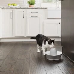 PetSafe® Streamside Ceramic Pet Fountain - Keramische Drinkfontein Voor Katten En Kleine Honden - Water Borrelt Zacht Over De Toren - Door Het Design Van Alle Kanten Bereikbaar - 1,8 Liter - PetSafe Streamside -Kattenbenodigdheden Winkel 1200x1200 846