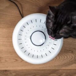 TrevoPet® Drinkfontein Kat - Waterfontein Kat - Kattenfontein - Fluisterstil - Drinkfontein - Drinkbak Kat - 2.5 Liter - Inclusief Filter - Wit -Kattenbenodigdheden Winkel 1200x1200 856