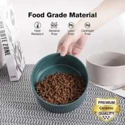 GIZMO 2x Voerbak Kat - 400 Ml - Groen - Keramische Drink- & Voerbakken Met Standaard - 13 Cm - 2 Stuks 16 GIZMO 2x Voerbak Kat - 400 Ml - Groen - Keramische Drink- & Voerbakken Met Standaard - 13 Cm - 2 Stuks -Kattenbenodigdheden Winkel 1200x1200 859